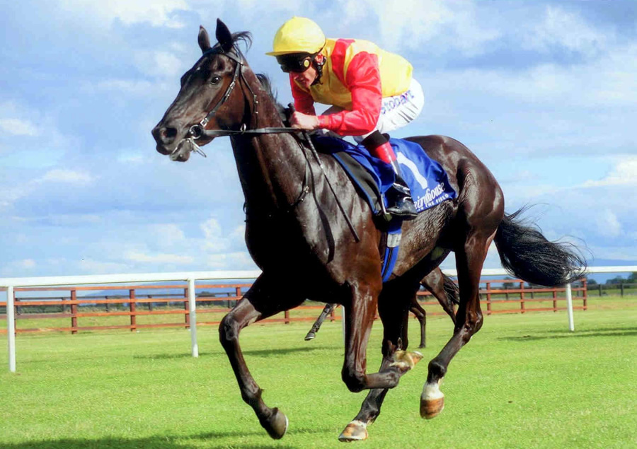 Bible Black Fairyhouse 29th Jule 2011